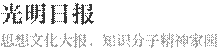 思想文化大报,知识分子精神家园